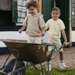 LS262BOAZ-1008-36-17