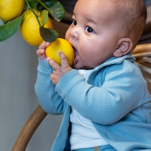 d627fad2-2313-40f3-8ab6-06fb931fe496