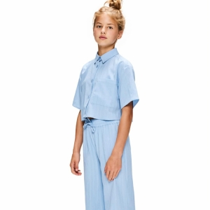 6fc2b2ba-8743-4418-ae6d-f13dbe4e00ca