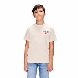 b561e510-fbd5-4fc5-88bd-868afd92e4f1